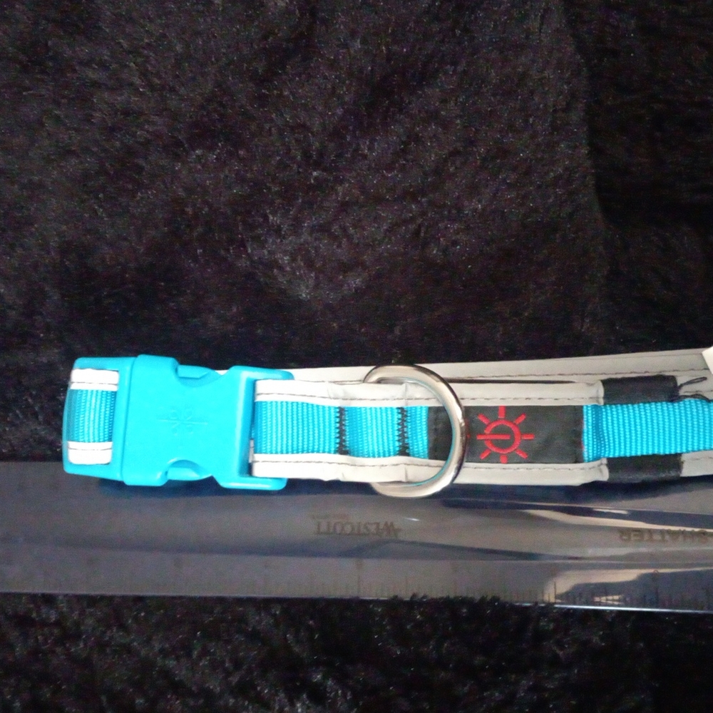 Good2Go LED Light-Up Collar for Dogs in Blue Small - Picture 2 of 3